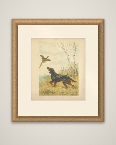 Vintage Lithograph “Setter and Pheasant” by Paul Wood, New York, 1930s, shown framed