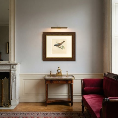 Redstart Leaning from a Leafy Twig, Hand Colored Bird Print, Morris, 1896, shown framed in a room
