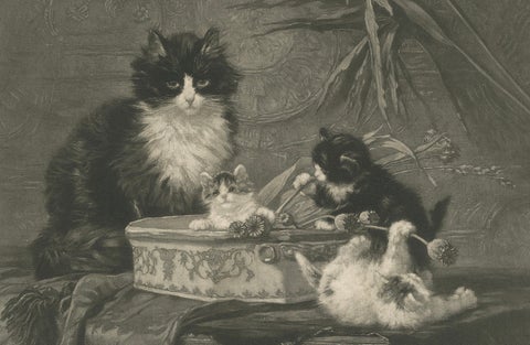 "Motherly Watch" - Cats and Kittens by Henriette Ronner (1894), close-up 3