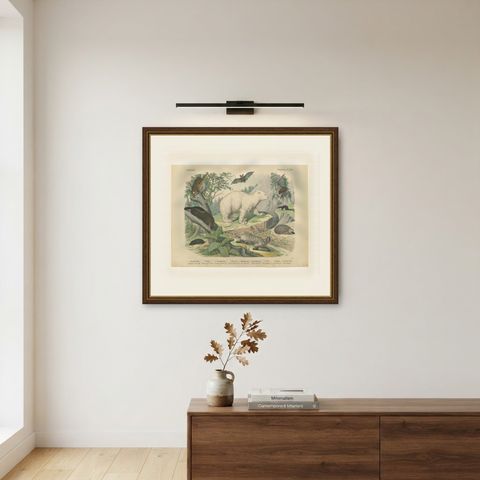 Antique Polar Bear Print with Bats, Hedgehog and Wolverine, Kolb, circa 1890, shown framed on a wall