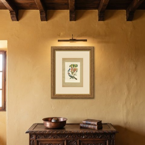Cotingas and Tanagers on a Cecropia, Brazilian Bird Print, Descourtilz, 1944, shown framed on a wall