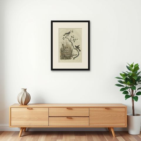 Original Hand-Colored Bird Print of the Marsh Tit with Nest and Eggs, 1770, shown framed on a wall