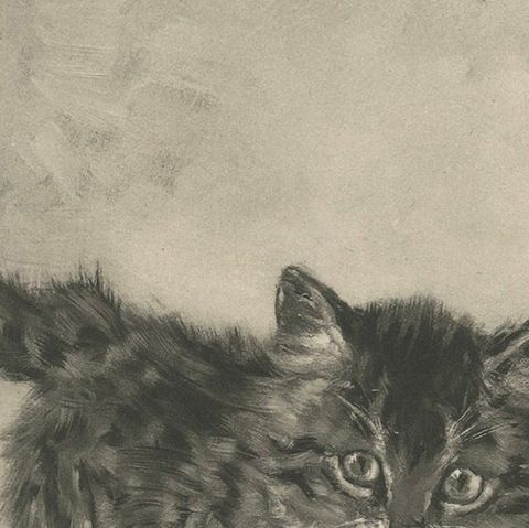 Rascal - A Playful Antique Cat Print by Henriette Ronner, 1894, close-up 6