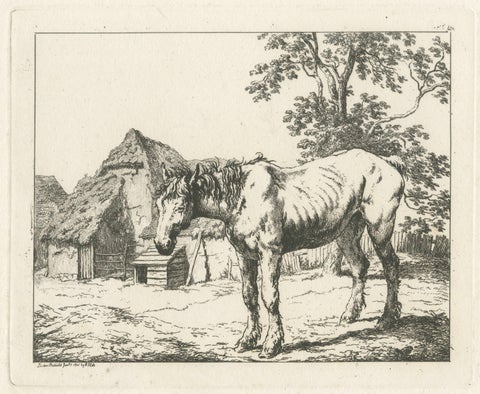 Rustic Farm Horse Study, English Animal Etching by Robert Hills, 1801, close-up 1