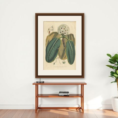 Large Antique Botany Print of The Falconer Rhododendron by Van Houtte, 1849, shown framed on a wall