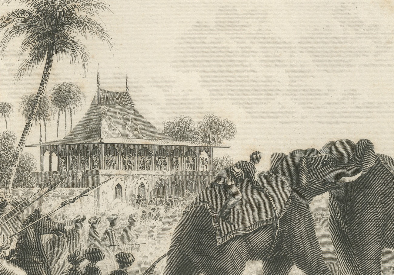 Elephant Fight in India, Spearmen and Horsemen, Antique Engraving, 1859, view 5