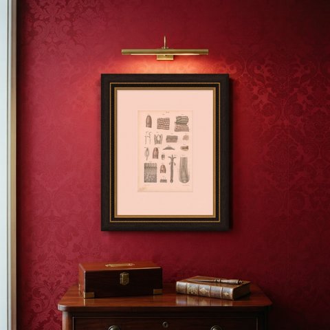 The Skin, Nail and Hair Follicle, Antique Hirschfeld Anatomy Print, 1866, shown framed on a wall