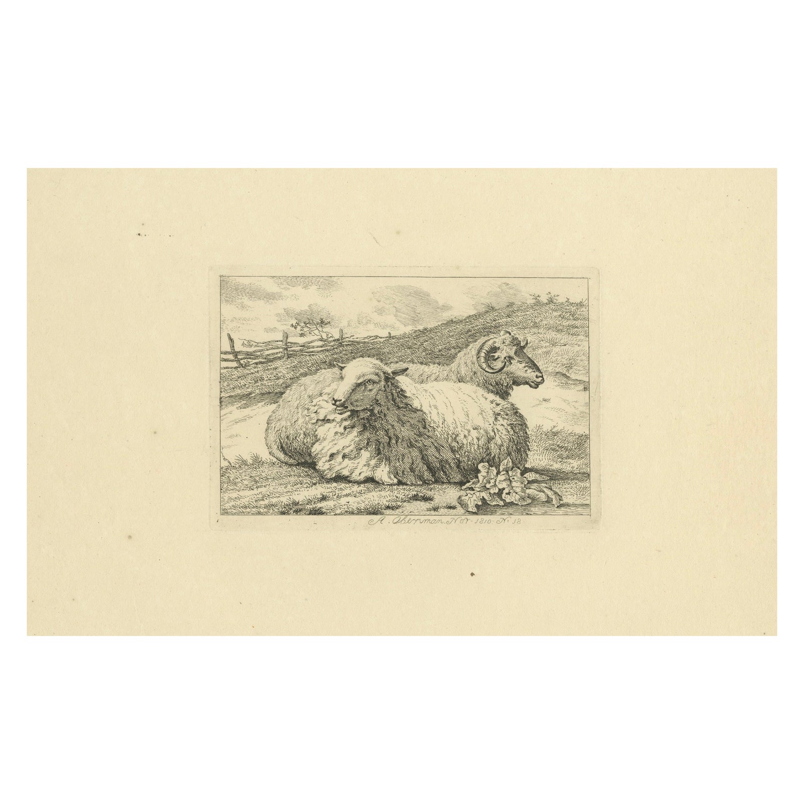 Serene Pastoral Scene with Two Resting Sheep: Etching by Anthony Oberman, 1810