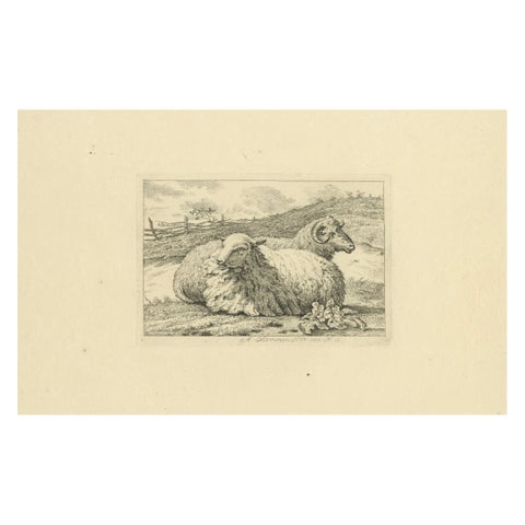 Serene Pastoral Scene with Two Resting Sheep: Etching by Anthony Oberman, 1810