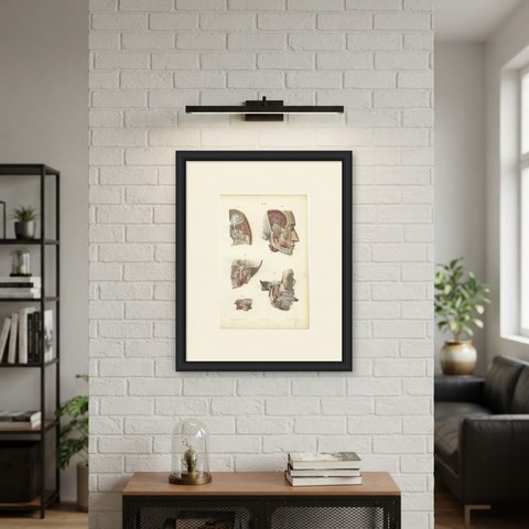 Nerves of the Jaw and Infratemporal Region, Hirschfeld Anatomy Print, 1866, shown framed on a wall