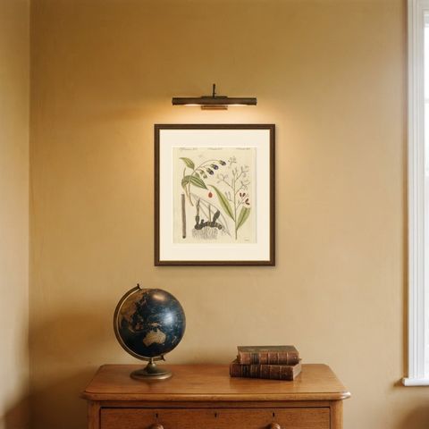 Cassia Cinnamon and Galangal Spices, Antique Bertuch Print, circa 1805, shown framed on a wall