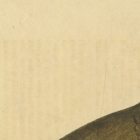 Antique Bird Print of a Mistle Thrush, circa 1731, close-up 1