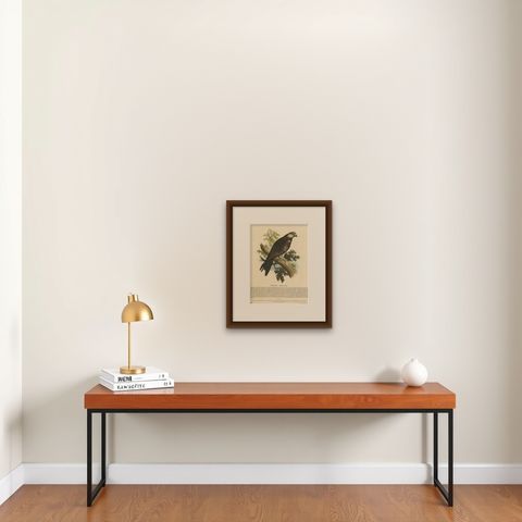 The Kite, Bird of Prey, Antique Wood Engraving, circa 1860, shown framed on a wall