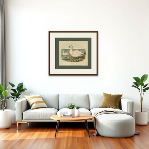 Antique Bird Print of Cassin's Snow Goose Made after D.G. Elliot, 1869, shown framed in a room