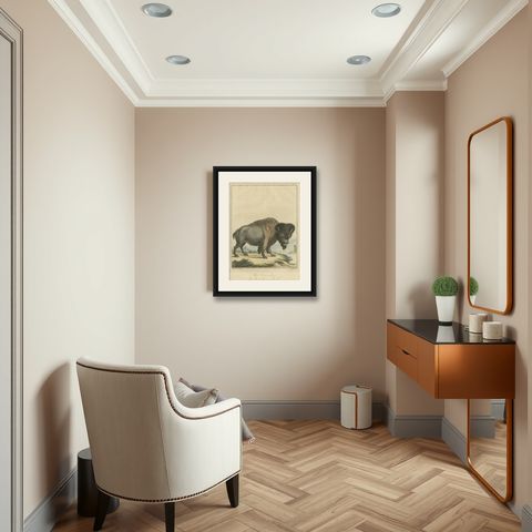 Original Antique Print of a Bison, shown framed in a room