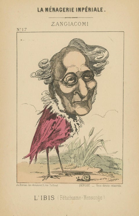 Imperial Menagerie: Zangiacomi - The Ibis (Fetishism - Deception), 1870, close-up 4