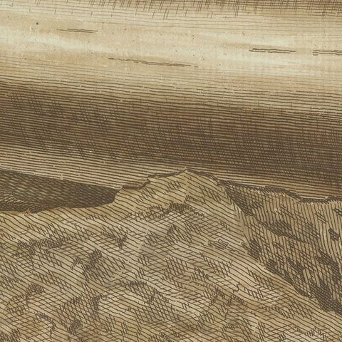 Antique Print of Part of an Excavated Elephant Tusk, close-up 2