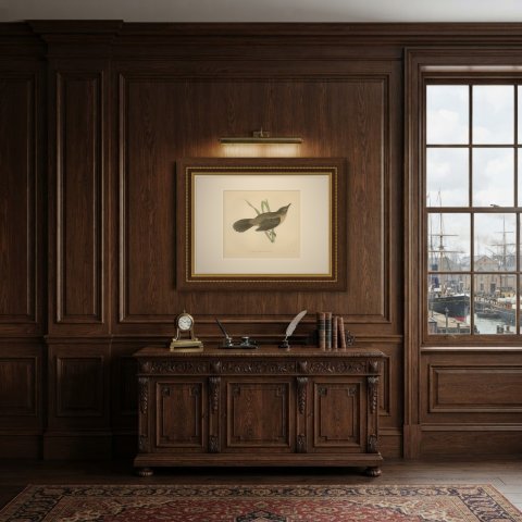 Great Sedge Warbler or Great Reed Warbler Clinging to a Reed, Morris, 1896, shown framed in a room