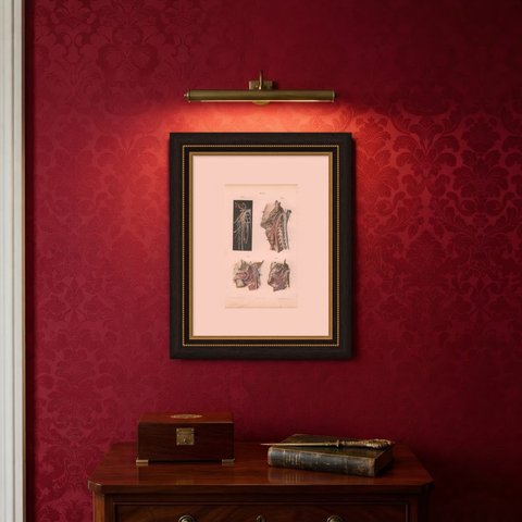 Nerves of the Pharynx and Floor of the Mouth, Hirschfeld Anatomy Print, 1866, shown framed on a wall
