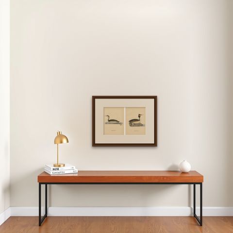 ntique Great Crested Grebe Bird Lithographs Set of 2, Sweden Ornithology 1929, shown framed on a wall