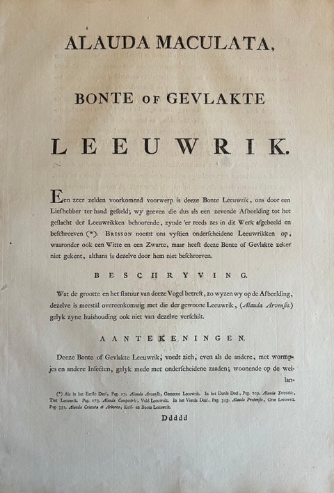 Eurasian Skylark, Antique Bird Engraving by Nozeman and Sepp, 1809, view 10