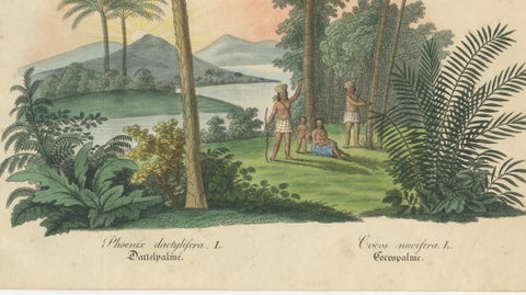 Antique Date Palm & Coconut Botanical Scene, Phoenix & Cocos, c.1831, close-up 4