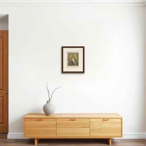 Antique Bird Print of the Yorkshire Canaries Evenly Marked Yellow and Others, shown framed on a wall