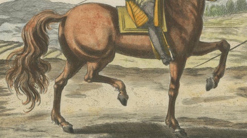 Baroque Dressage Horse in Collection, Georg Simon Winter, 1678, close-up 2
