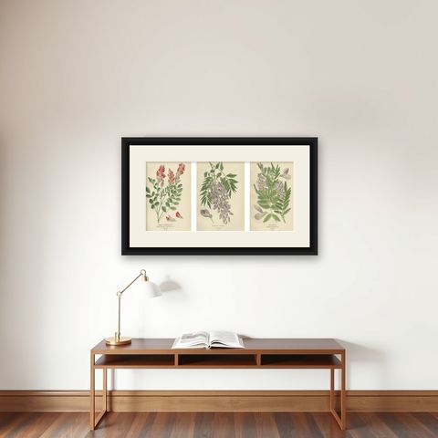 Garden Elegance: A Triptych of 19th Century Botanical Illustrations, 1896, shown framed on a wall
