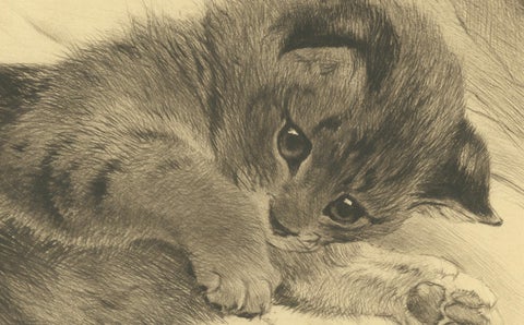 Charming Kitten Etching by Kurt Meyer-Eberhardt, Estate Edition 1977, close-up 5