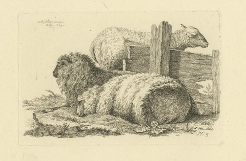 Etching of Three Sheep Resting by Fence: Farm Animal Study, by Oberman in 1810, close-up 6