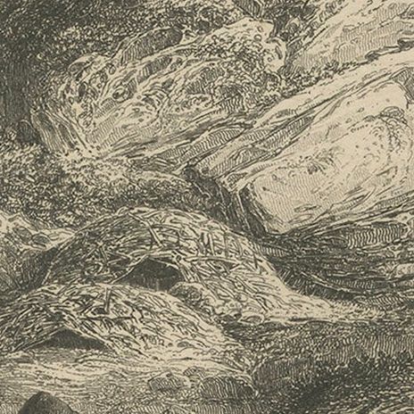 Beaver Dams on a Rocky Shore, 19th Century Canadian Wildlife Engraving, close-up 3