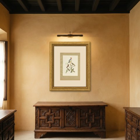 Cardinals and Finches, Brazilian Bird Print, Descourtilz, 1944, shown framed in a room