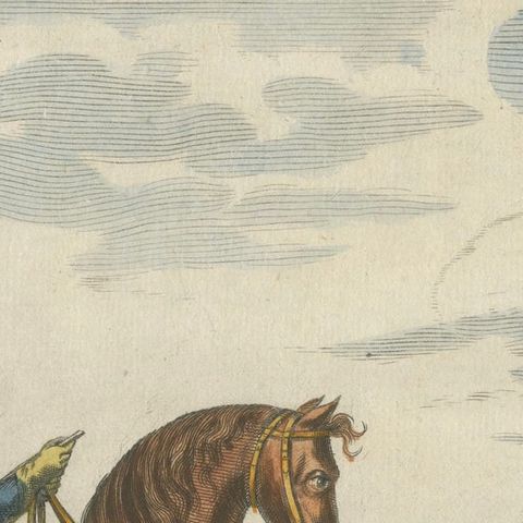 Baroque Dressage Horse in Collection, Georg Simon Winter, 1678, close-up 5