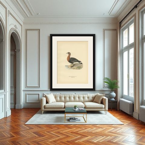 Antique Bird Print of the Red-Breasted Goose by Von Wright '1929', shown framed in a room