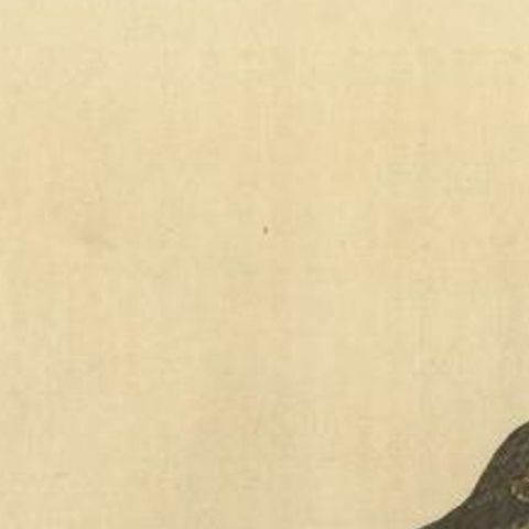 Antique Bird Print of the Small Lark by Albin, c.1738, close-up 1