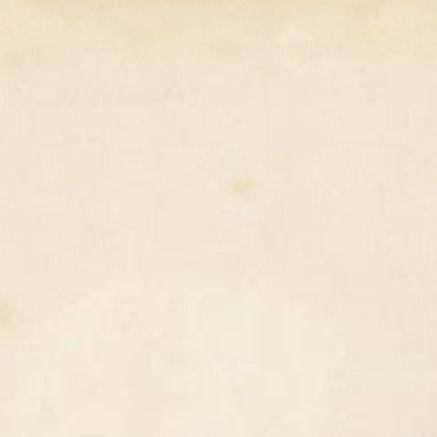 Antique Bird Print of a Red-Breasted Duck, c.1840, close-up 1