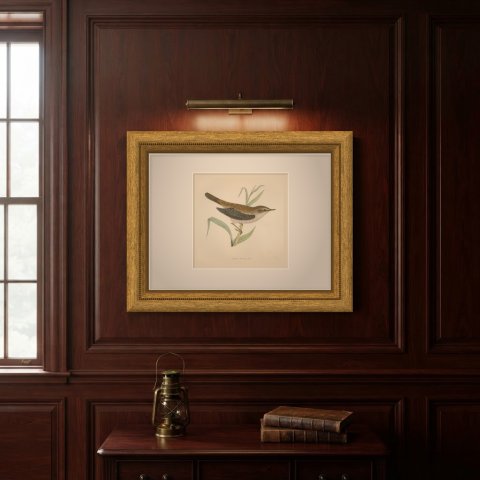Reed Warbler Perched on a Reed, Hand Colored Bird Print by Morris, 1896, shown framed on a wall