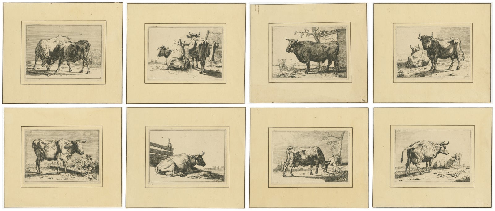 Mammals