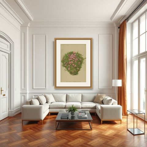 Antique Botany Print of The Silene Acaulis Plant by Palla, 1897, shown framed in a room