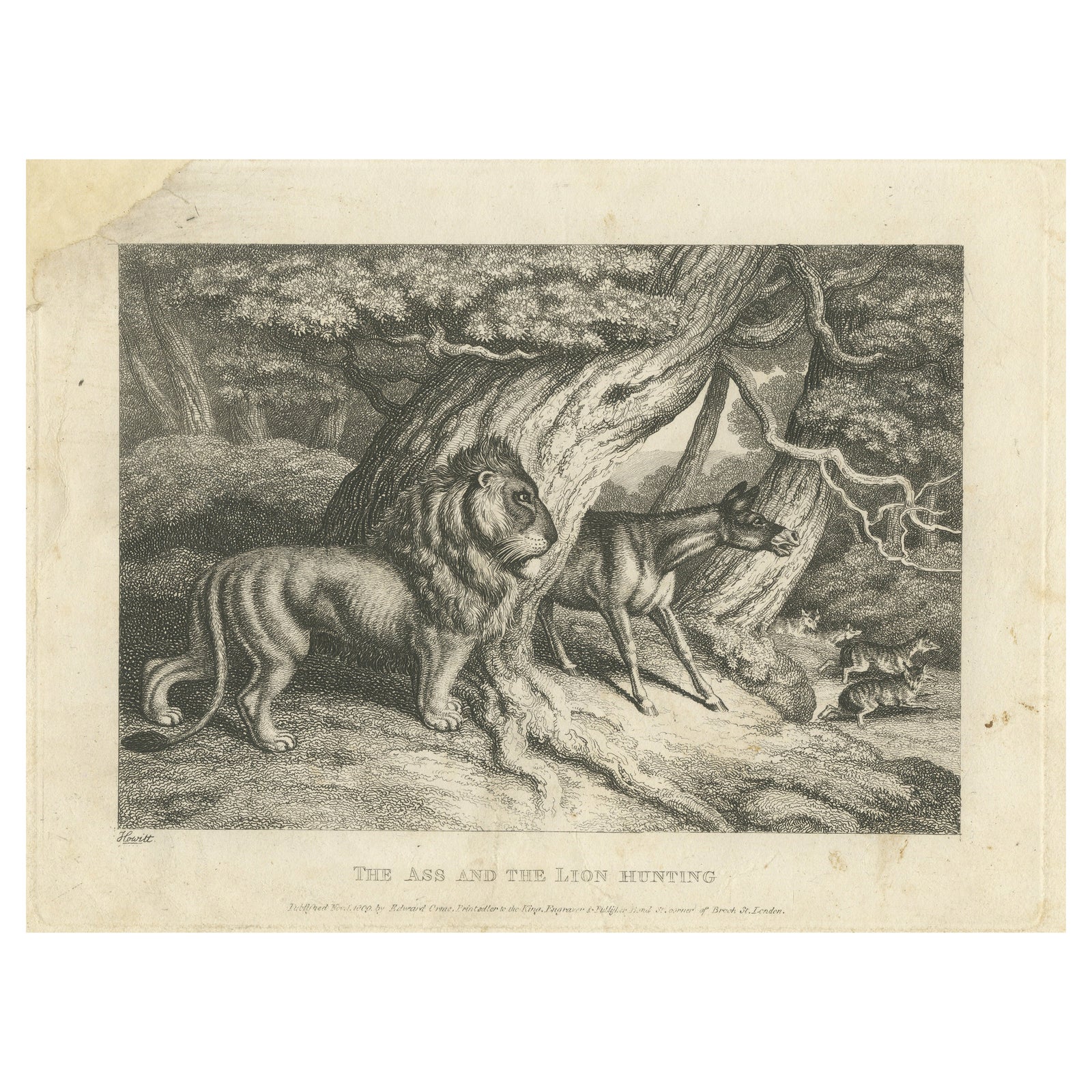 Original Antique Print of a Lion and Donkey hunting