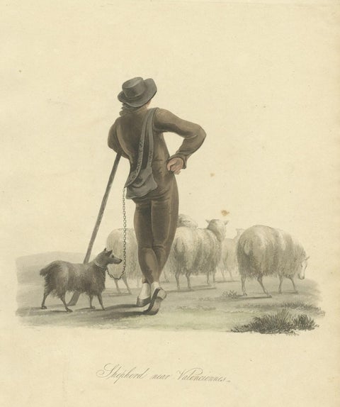 Antique Print of a Shepherd Boy with Sheep Near Valenciennes, 1817, close-up 1