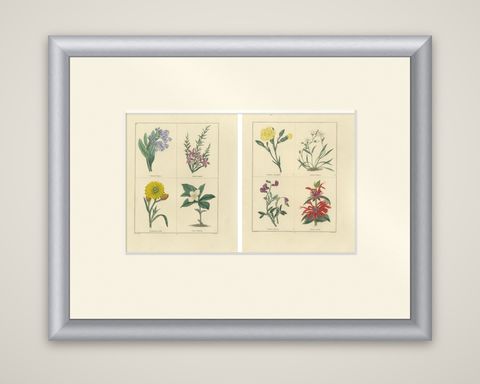 Charming Pair of Antique Floral Engravings for Wall Décor, 1828, shown framed