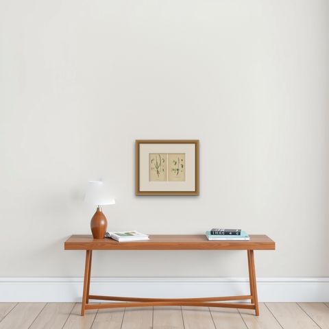 Spiranthes Splendor: Vintage Botanicals from 1904, shown framed on a wall