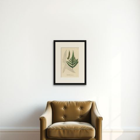 Rare, Artfully Handcolored Lithograph of Ferns of Indonesia (Polypodium), 1829, shown framed on a wall