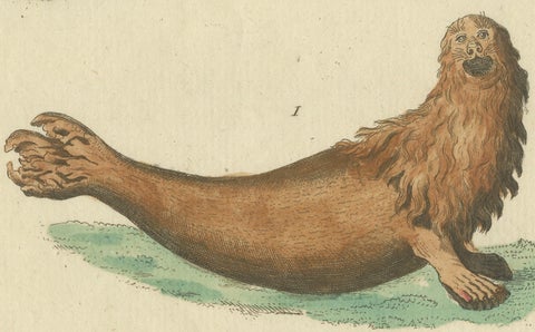 Antique Handcolored Engraving of Seals and Amphibious Creatures, c.1800, close-up 3