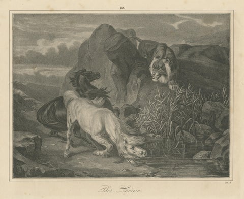 Original Antique Print of Lion Sneaking Up on Horses, view 3