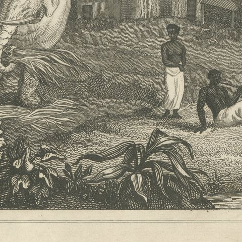View in Sierra Leone, West Africa, Elephant, Antique Engraving, circa 1825, close-up 3