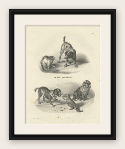 19th-Century Lithograph of Hunting Dogs and Dachshunds Interacting with Cats, shown framed