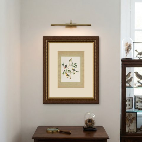 Manakins and Tanagers, Brazilian Bird Print, Descourtilz, 1944, shown framed on a wall